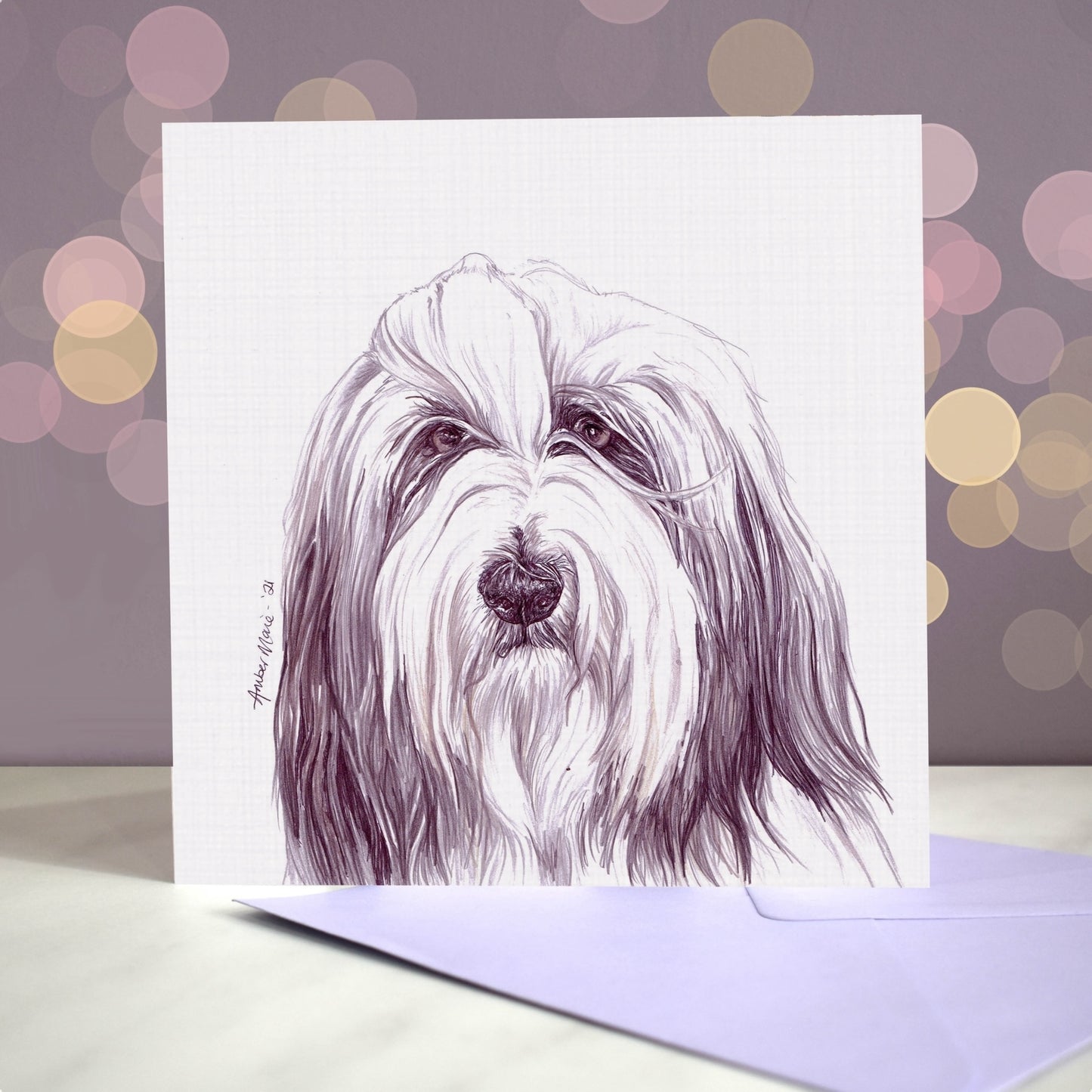 Bearded Collie Amber Marie